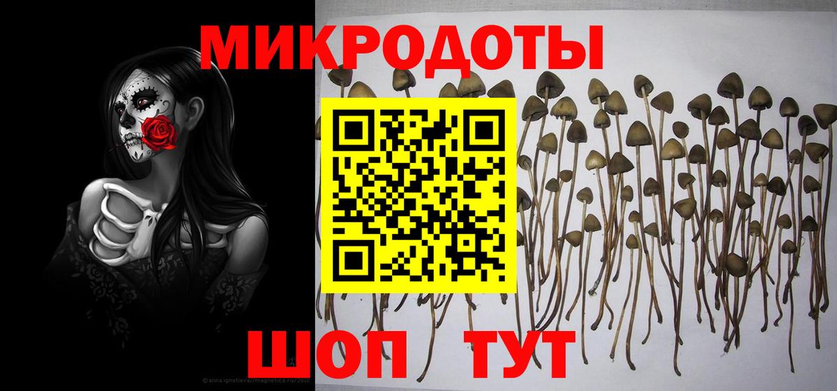 Галлюциногенные грибы прущие грибы  Вход с VPN  Псилоцибиновые грибы прущие грибы  Коломна 